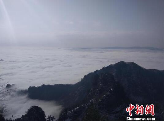 符文王者bt版下载