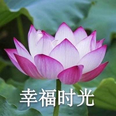 对攻三国游戏